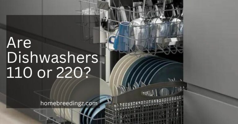 Are Dishwashers 110 or 220? – The Power Requirement of The Device!