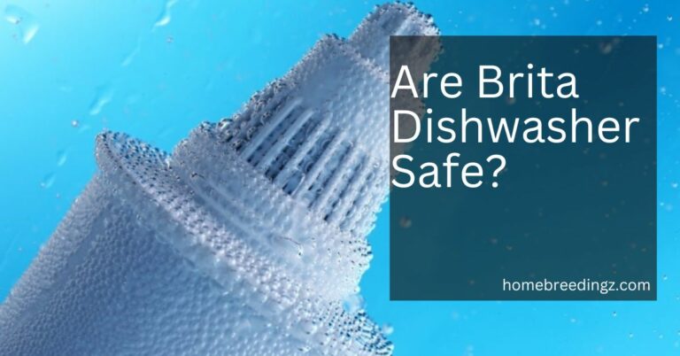 Are Brita Dishwasher Safe? – Checking Compatibility!