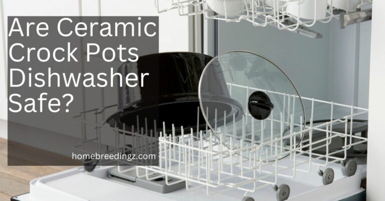 Are Ceramic Crock Pots Dishwasher Safe? – Details Revealed!