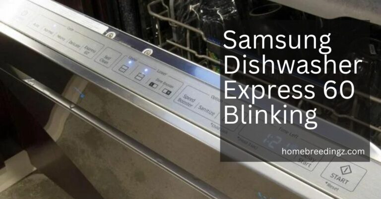 Samsung Dishwasher Express 60 Blinking – Troubleshooting!