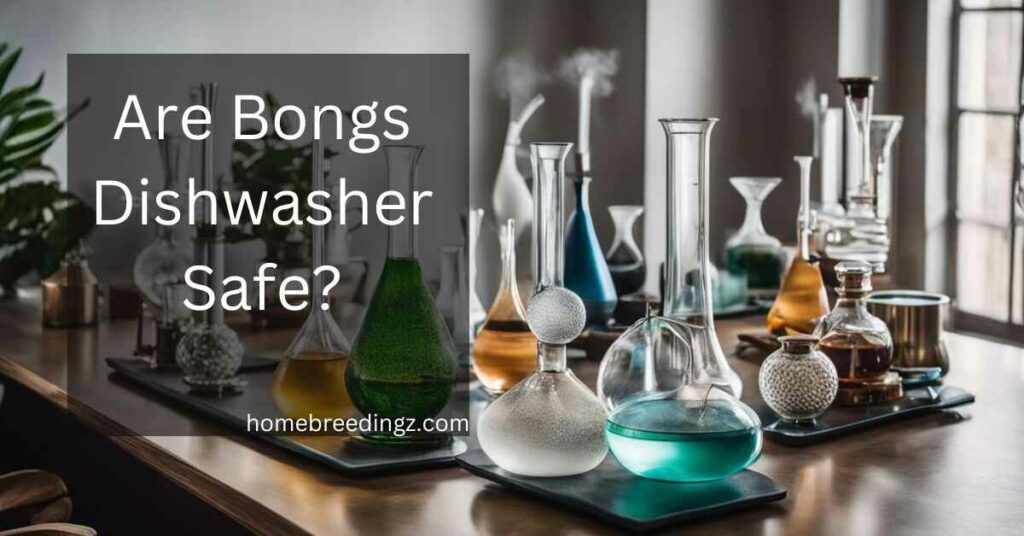 Are Bongs Dishwasher Safe