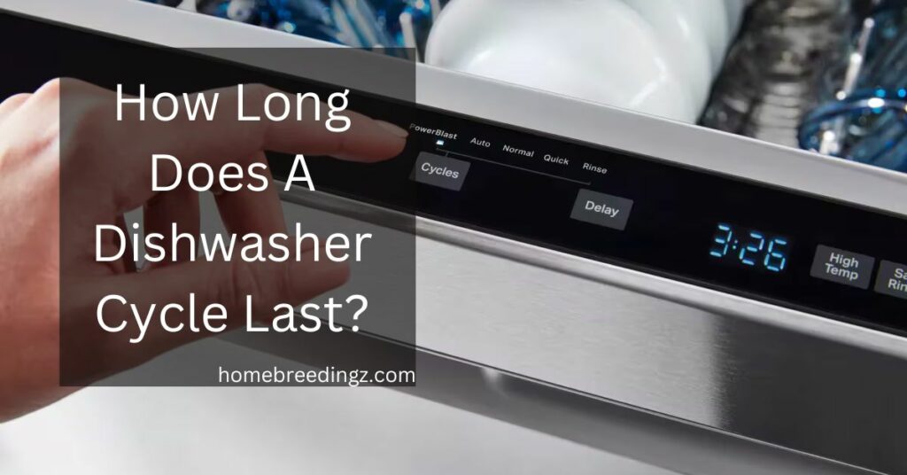 How Long Does A Dishwasher Cycle Last