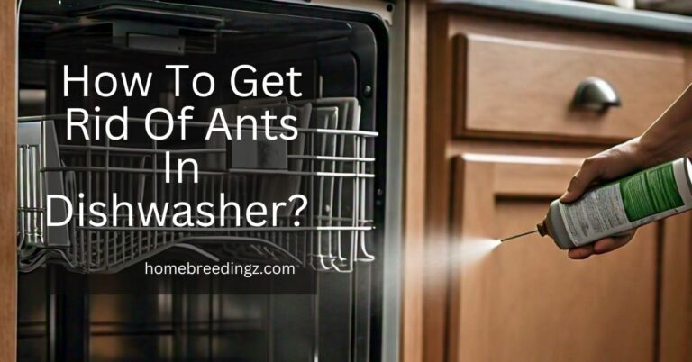 How To Get Rid Of Ants In Dishwasher? – Keep Your Device Fresh!