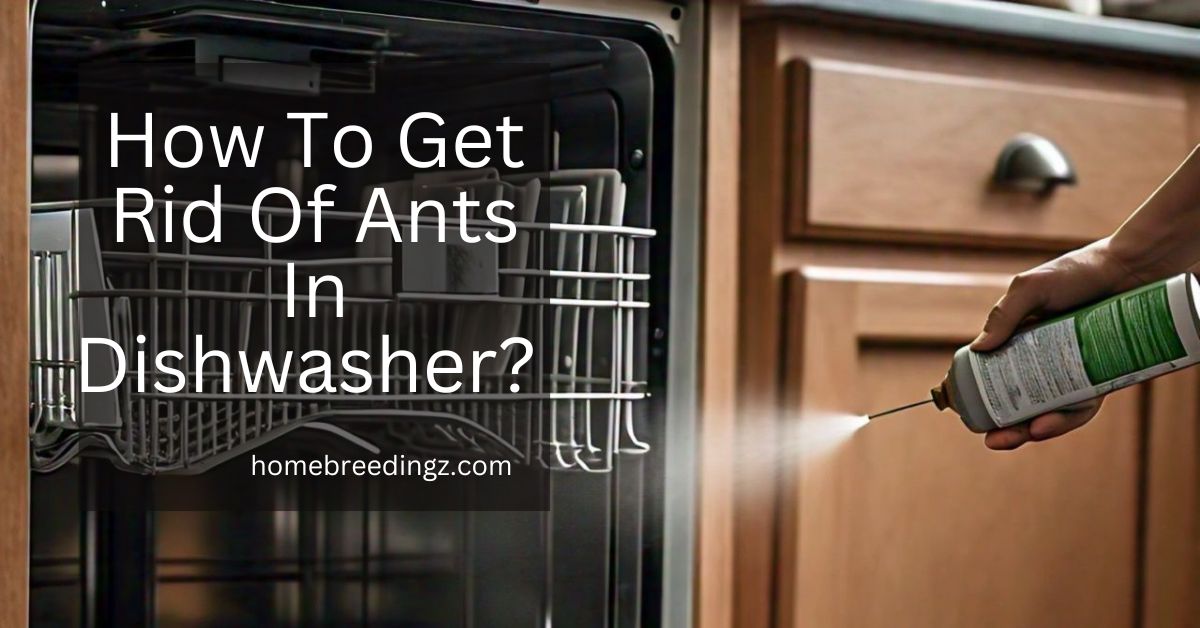 How To Get Rid Of Ants In Dishwasher?