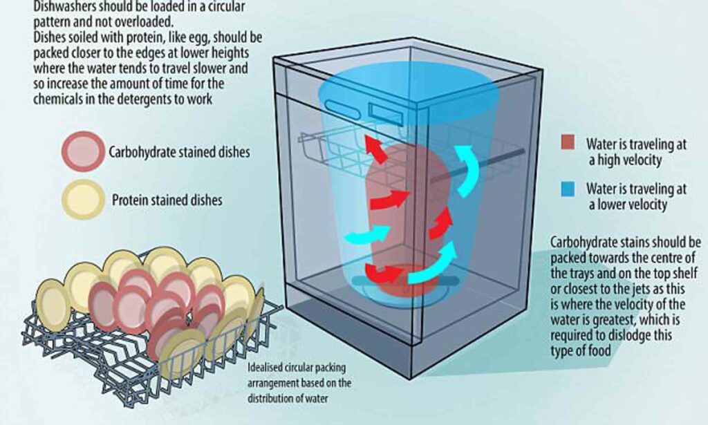 Water Movements: