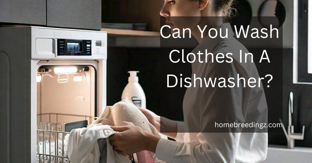 Can You Wash Clothes In A Dishwasher?