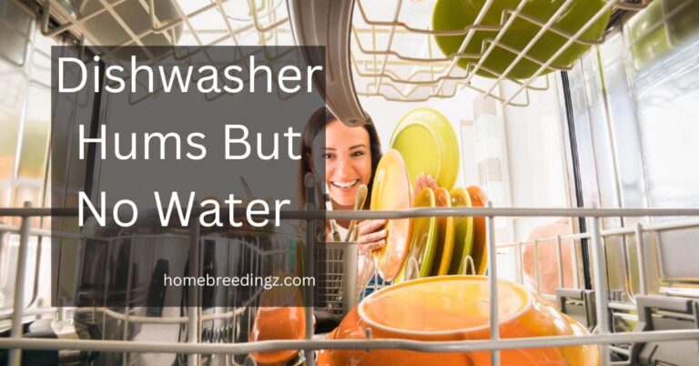 Dishwasher Hums But No Water – What Can Be The Issue!