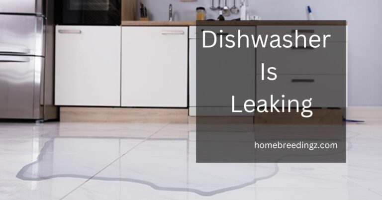 Dishwasher Is Leaking – The Corrosive Problem Is Here!