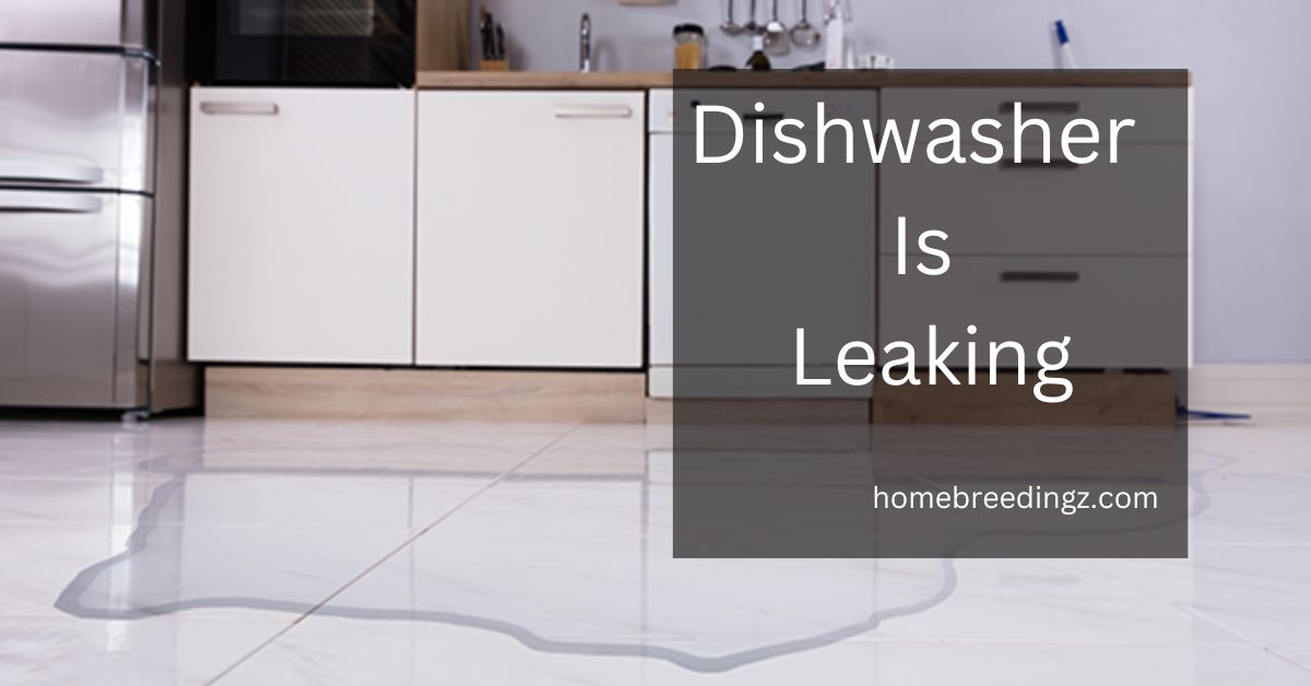 Dishwasher Is Leaking