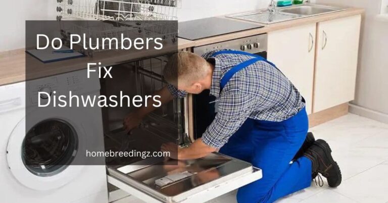 Do Plumbers Fix Dishwashers – Choose The Right Fixer!