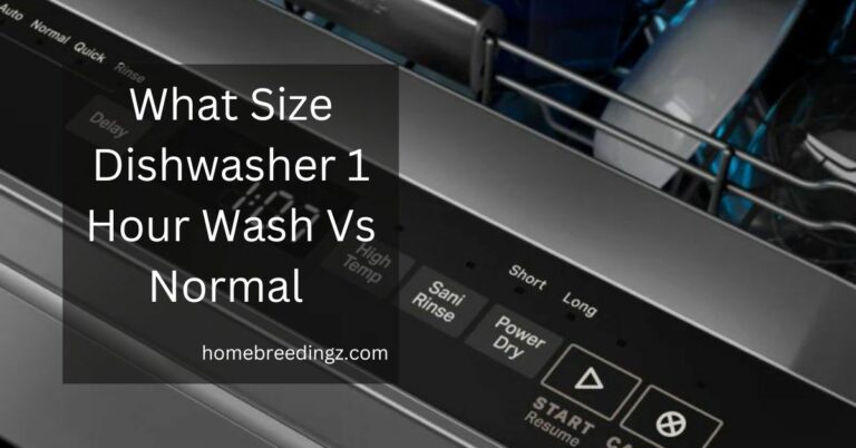 Dishwasher 1 Hour Wash Vs Normal – Compare The Difference!